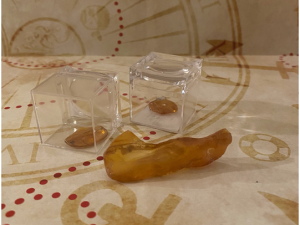 Bernstein mit Insekteneinschluss in Lupe